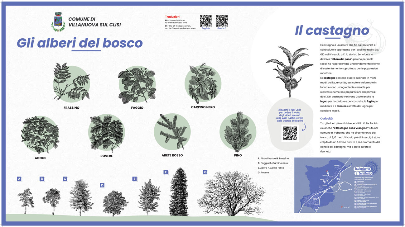 Pannello informativo sugli alberi del bosco di Villanuova sul Clisi
